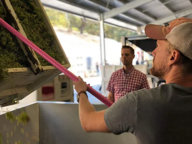 A man in a gray t-shirt and cap tending to wine bottles on a rack at an outdoor vineyard or winery.