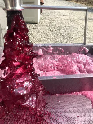 A lush, deep pink liquid flows from a spout into a container, creating frothy bubbles and foam on the surface.